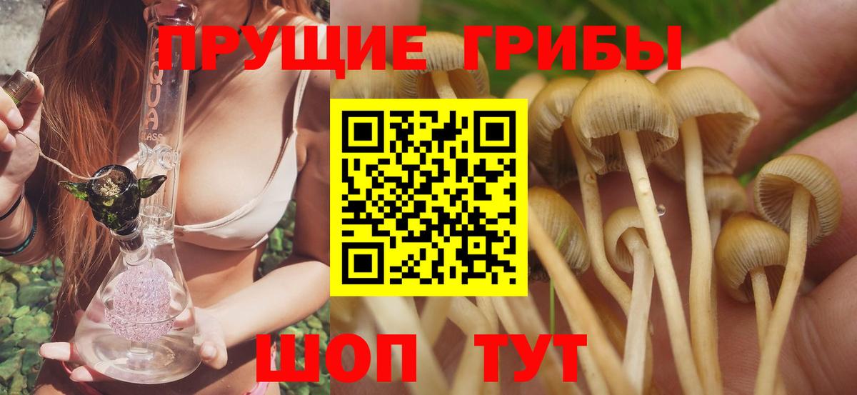 Скопин  Псилоцибиновые грибы GOLDEN TEACHER  Вход с VPN 